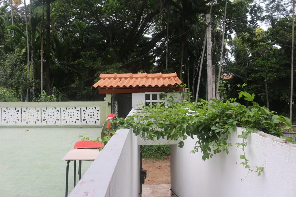 Jungle Guest House Galle Exteriér fotografie