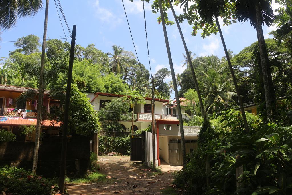 Jungle Guest House Galle Exteriér fotografie