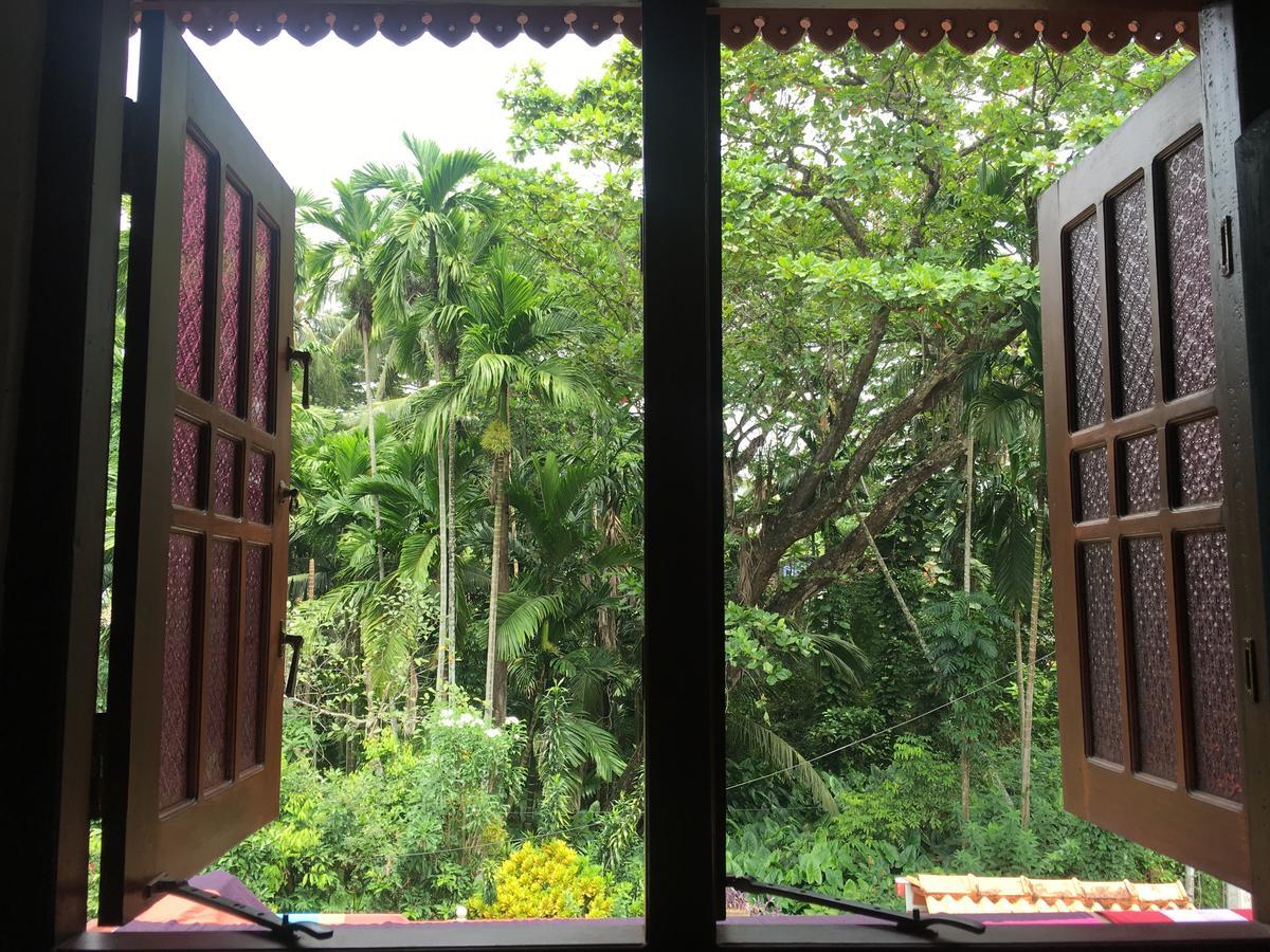 Jungle Guest House Galle Exteriér fotografie